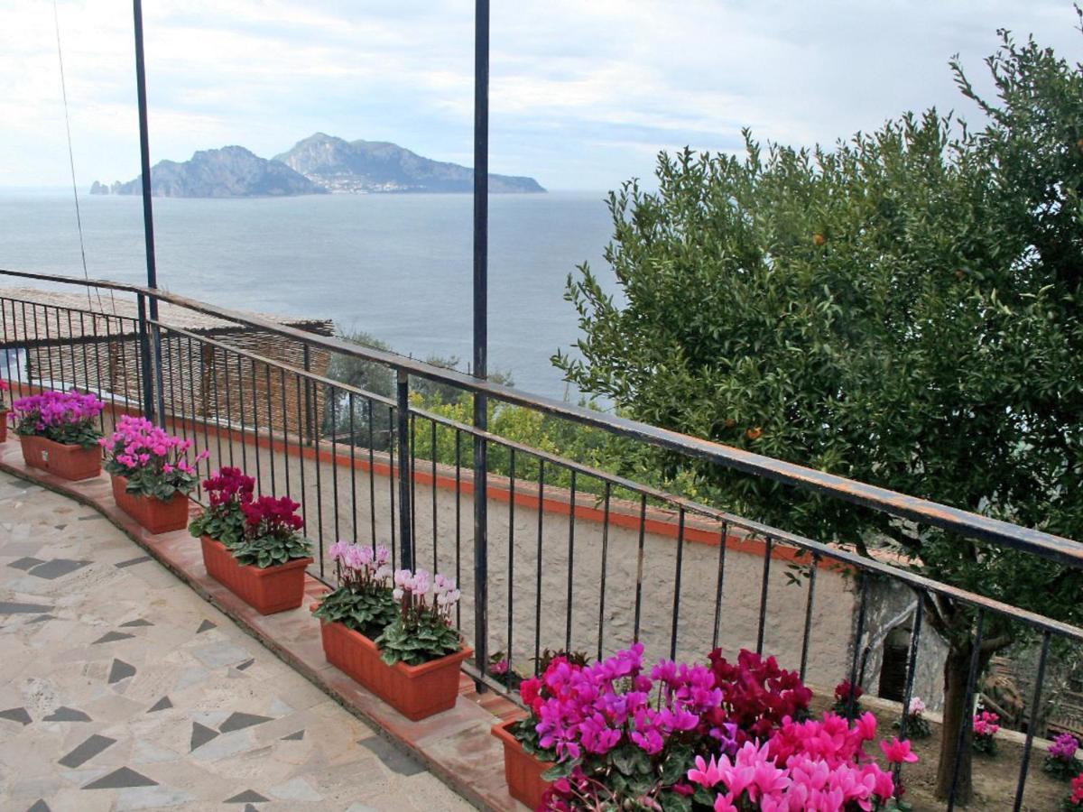 Apartment Don Luigino - Capri View By Interhome Massa Lubrense Exterior foto